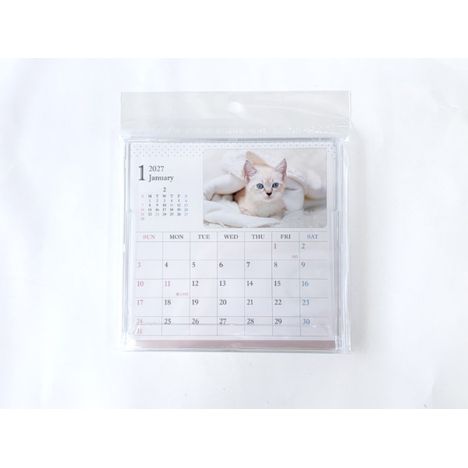 ２７　ＣＤカレンダー　ネコの商品画像