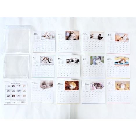 ２７　ＣＤカレンダー　ネコの3番目の写真