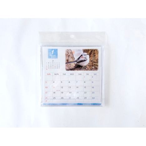 ２７　ＣＤカレンダー　鳥の商品画像