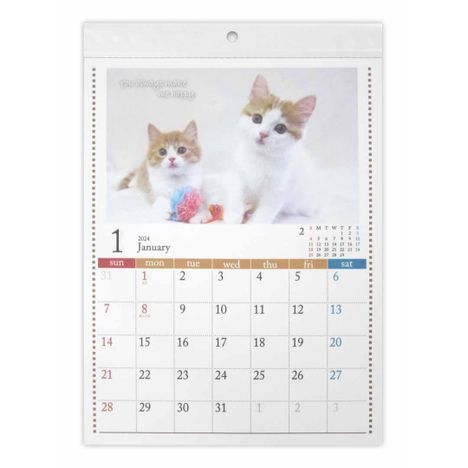 ２４Ａ４壁掛けカレンダーＣＡＴ