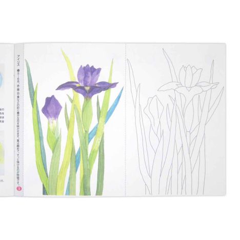 大人の塗りえきれいな花々の3番目の写真