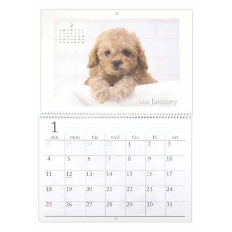 ２６見開きリング式カレンダーＢ４ＤＯＧの3番目の写真
