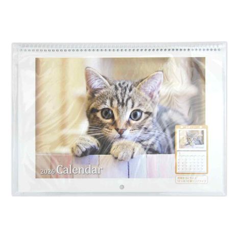 ２６見開きリング式カレンダーＢ４ＣＡＴの画像