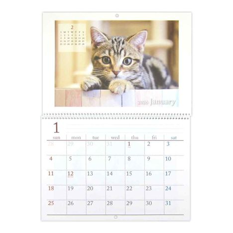 ２６見開きリング式カレンダーＢ４ＣＡＴの3番目の写真