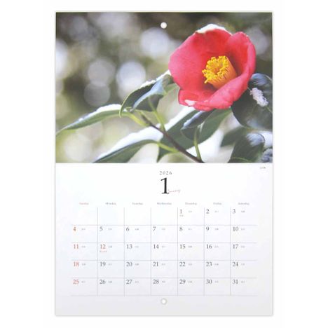 ２６見開き中綴じカレンダーＡ３四季の花の3番目の写真