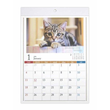 ２６壁掛けカレンダーＡ４ＣＡＴの画像