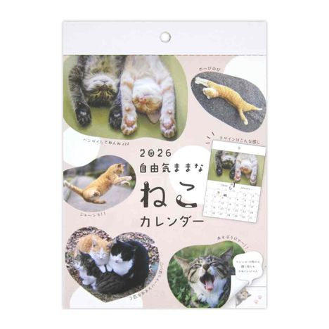 ２６壁掛けカレンダーＡ５猫の画像