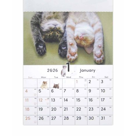 ２６壁掛けカレンダーＡ５猫の3番目の写真