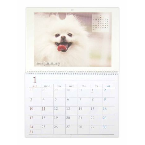 ２７見開きリング式カレンダーＢ４ＤＯＧの3番目の写真