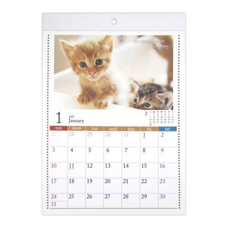 ２７壁掛けカレンダーＡ４ＣＡＴの画像