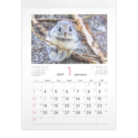 ２７壁掛けカレンダーＡ４もふもふ動物の3番目の写真
