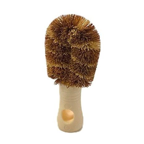 立つたわしの3番目の写真