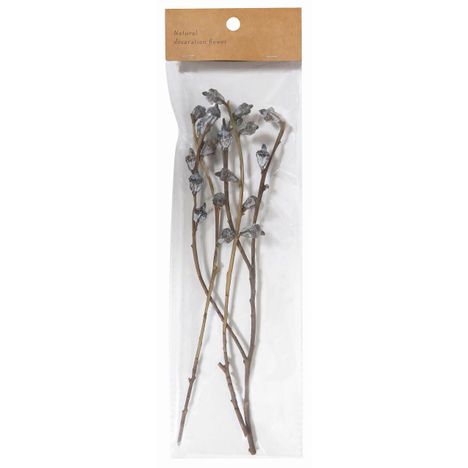 ドライフラワー　ユーカリグロボラスの商品画像