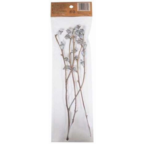 ドライフラワー　ユーカリグロボラスの2番目の写真