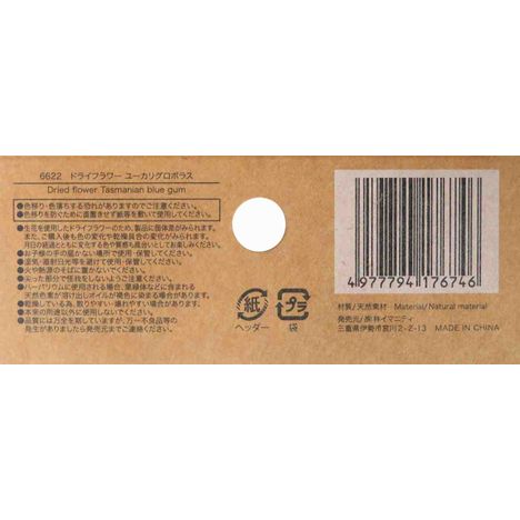 ドライフラワー　ユーカリグロボラスの5番目の写真