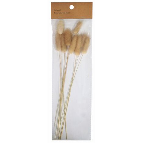 ドライフラワー　ラグラスの商品画像