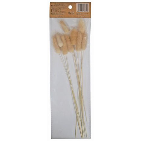 ドライフラワー　ラグラスの2番目の写真