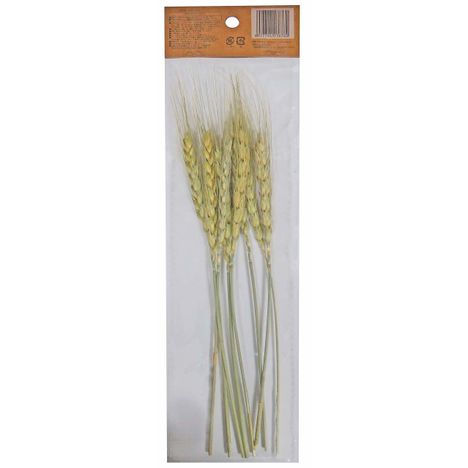 ドライフラワー　ウィートの2番目の写真