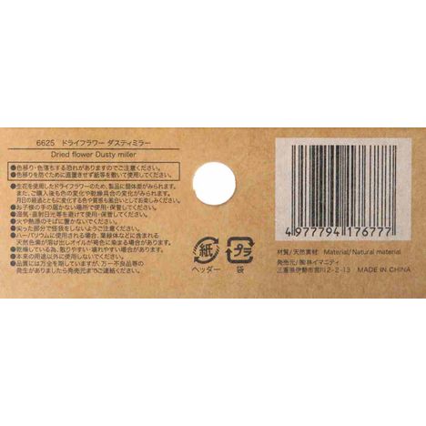 ドライフラワー　ダスティミラーの5番目の写真