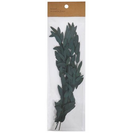 プリザーブドフラワー　ユーカリパルブラの商品画像