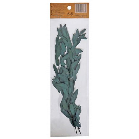 プリザーブドフラワー　ユーカリパルブラの2番目の写真