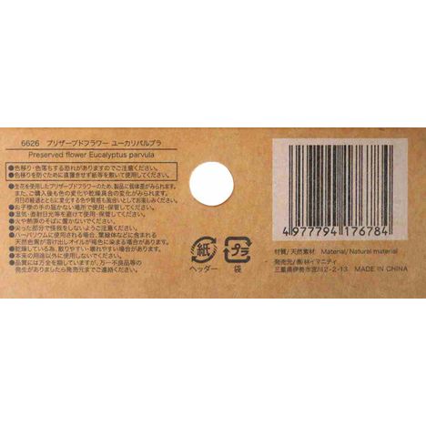 プリザーブドフラワー　ユーカリパルブラの5番目の写真
