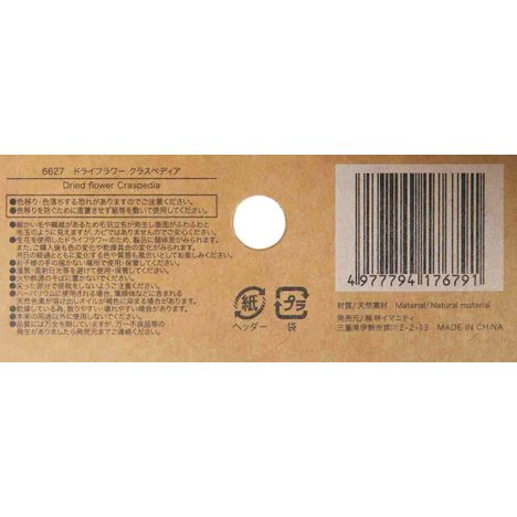 ドライフラワー　クラスペディアの5番目の写真