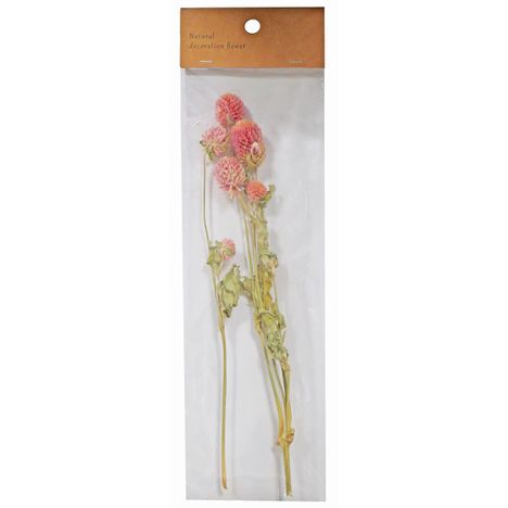 ドライフラワー　センニチコウの商品画像