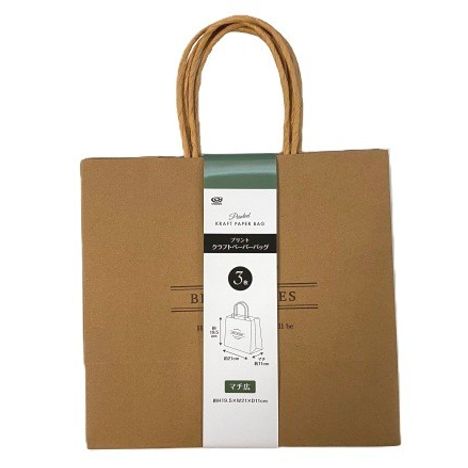 クラフトバッグ　プリント　マチ広　３枚の商品画像
