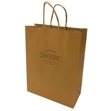 クラフトバッグ　プリント　Ｍ　２枚の3番目の写真